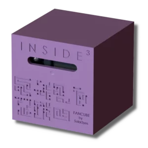Inside - Fan Cube