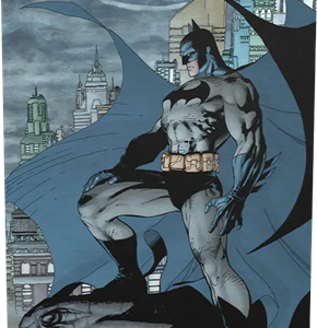 Dragon Shield Dual Mat Sleeves - Illustrées